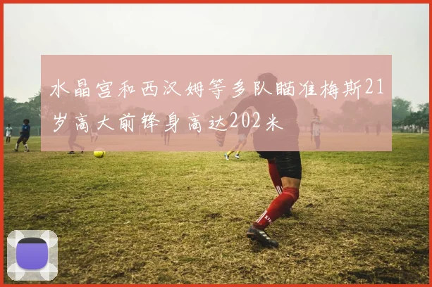 水晶宫和西汉姆等多队瞄准梅斯21岁高大前锋身高达202米
