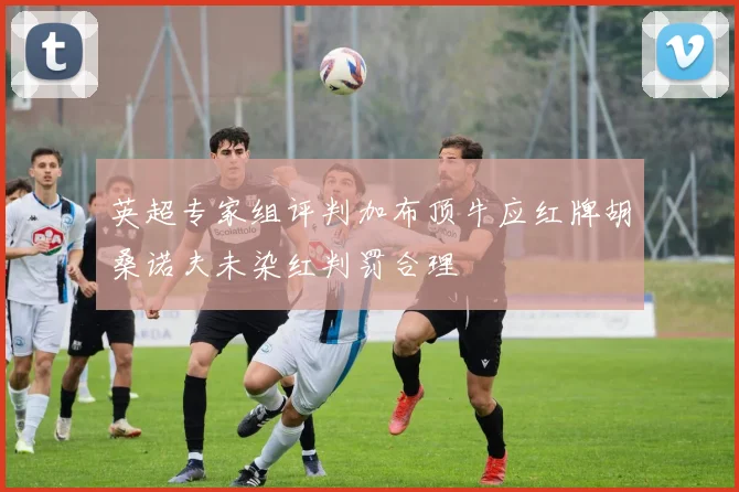英超专家组评判加布顶牛应红牌胡桑诺夫未染红判罚合理